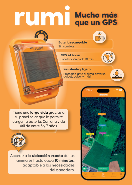 Rumi, mucho más que un GPS