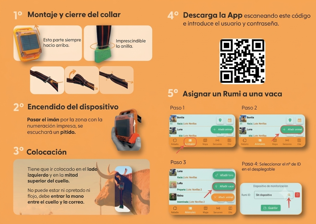Montaje y cierre del collar